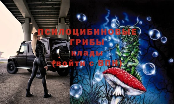 бошки Белоозёрский