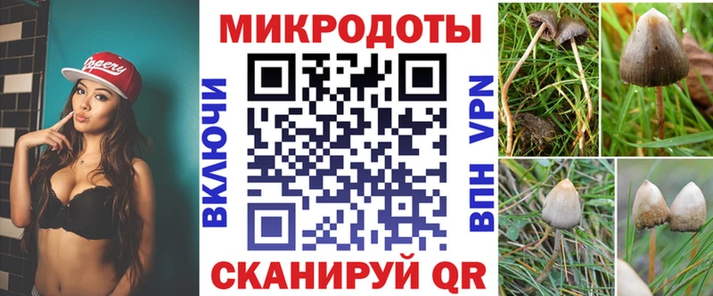 Псилоцибиновые грибы ЛСД блэк спрут рабочий сайт Великие Луки хочу